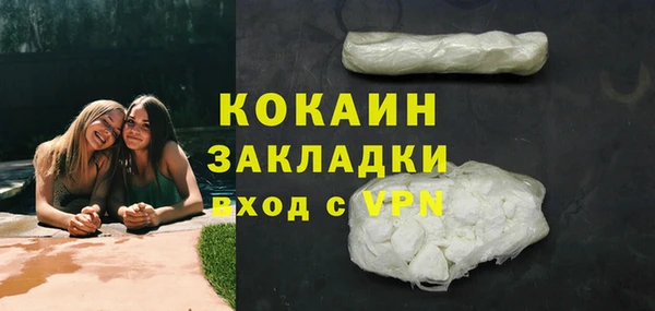 шишки Балахна
