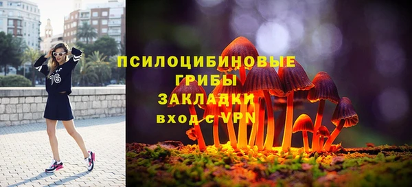 шишки Балахна