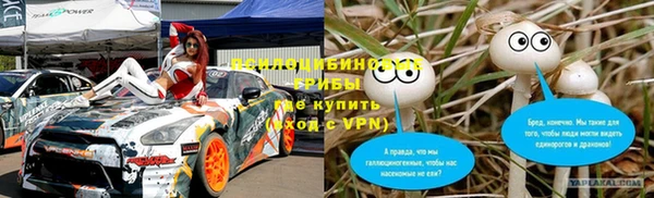 шишки Балахна