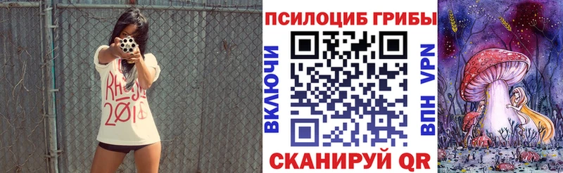 Псилоцибиновые грибы Cubensis  Теберда 